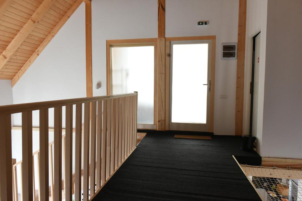 Aster Panzio Bed and Breakfast Cîmpu Cetăţii Eksteriør billede