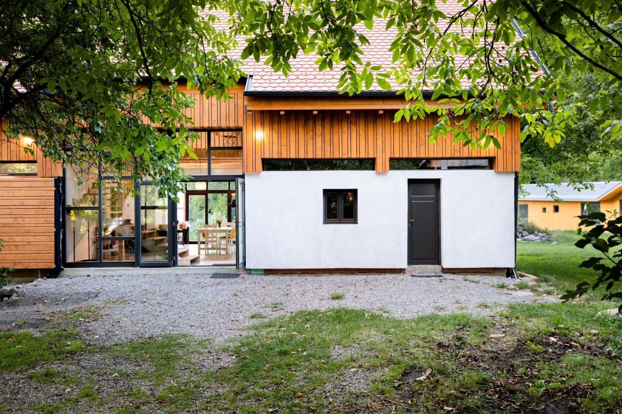 Aster Panzio Bed and Breakfast Cîmpu Cetăţii Eksteriør billede