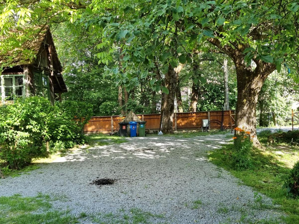 Aster Panzio Bed and Breakfast Cîmpu Cetăţii Eksteriør billede