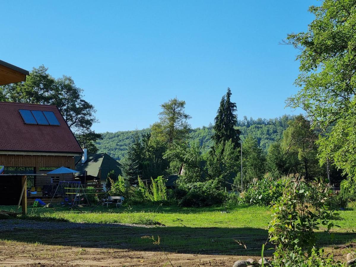 Aster Panzio Bed and Breakfast Cîmpu Cetăţii Eksteriør billede