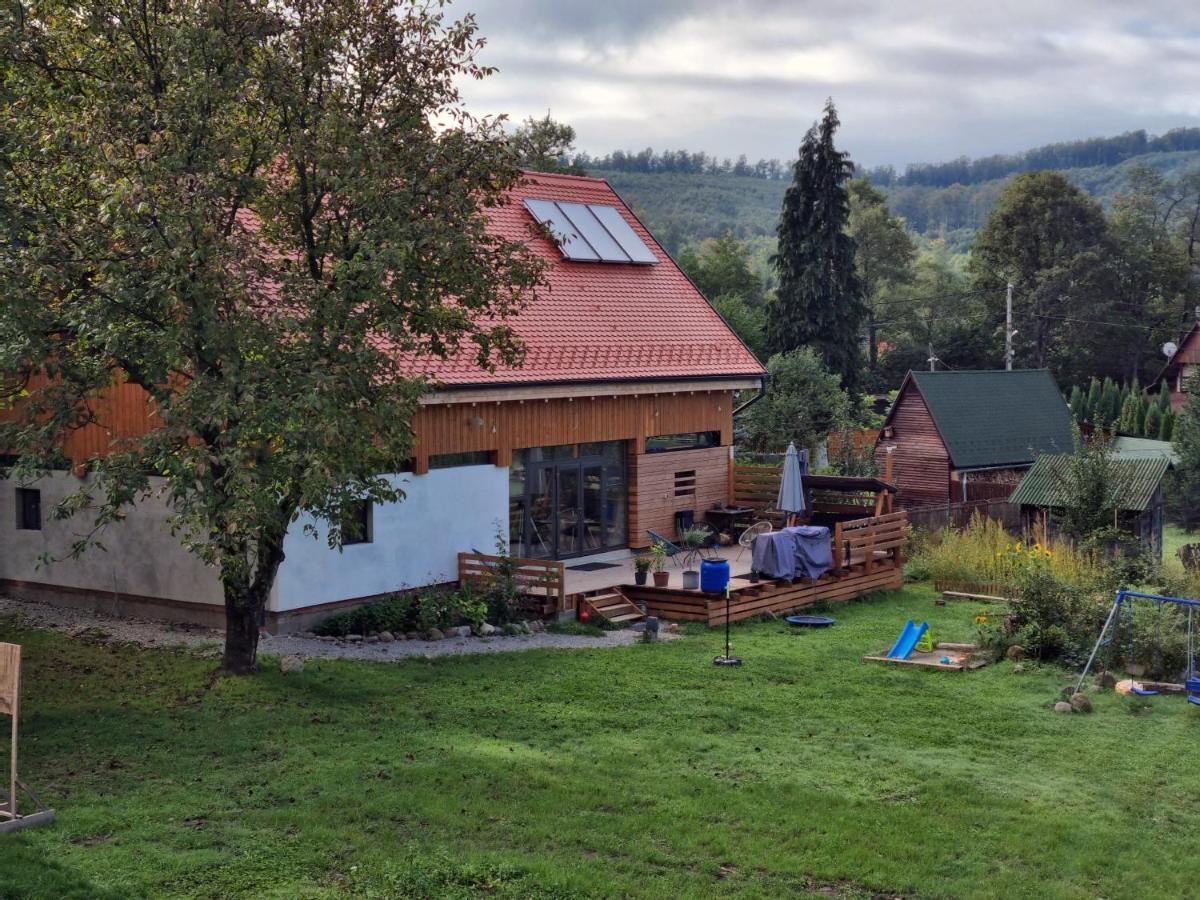 Aster Panzio Bed and Breakfast Cîmpu Cetăţii Eksteriør billede