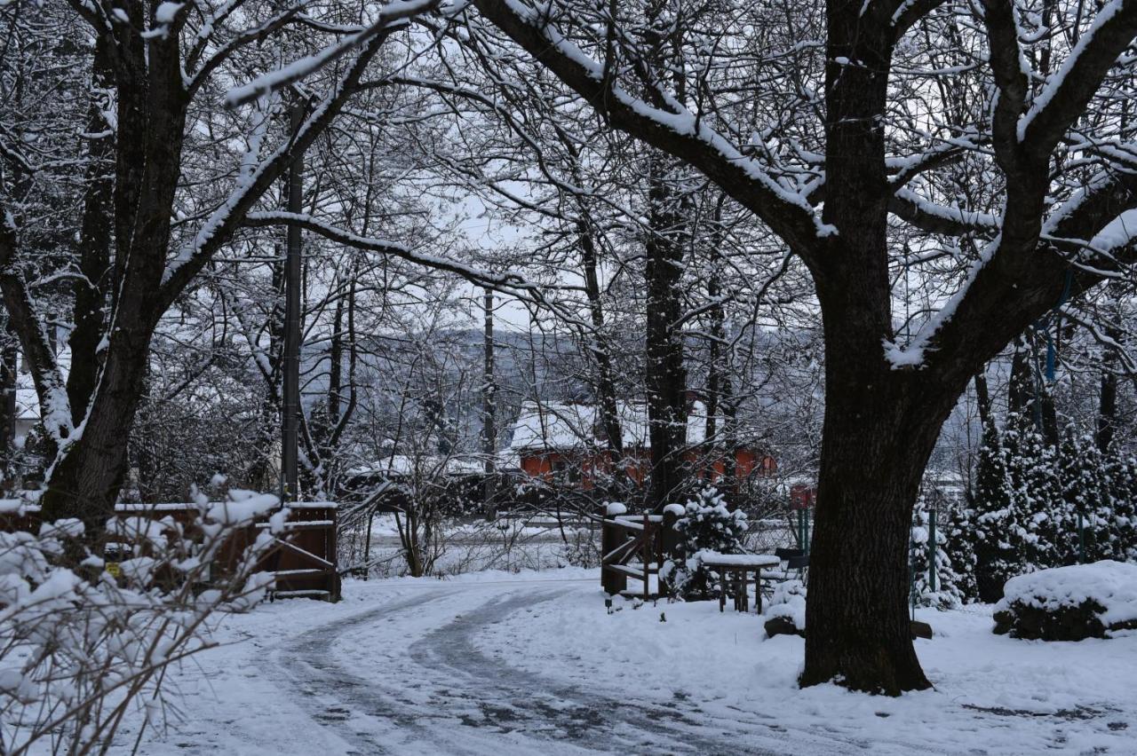 Aster Panzio Bed and Breakfast Cîmpu Cetăţii Eksteriør billede