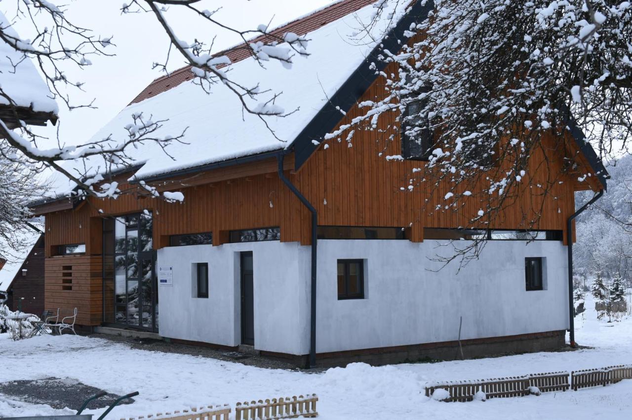Aster Panzio Bed and Breakfast Cîmpu Cetăţii Eksteriør billede