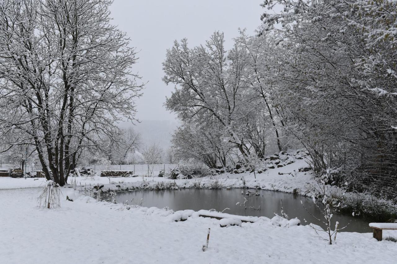 Aster Panzio Bed and Breakfast Cîmpu Cetăţii Eksteriør billede